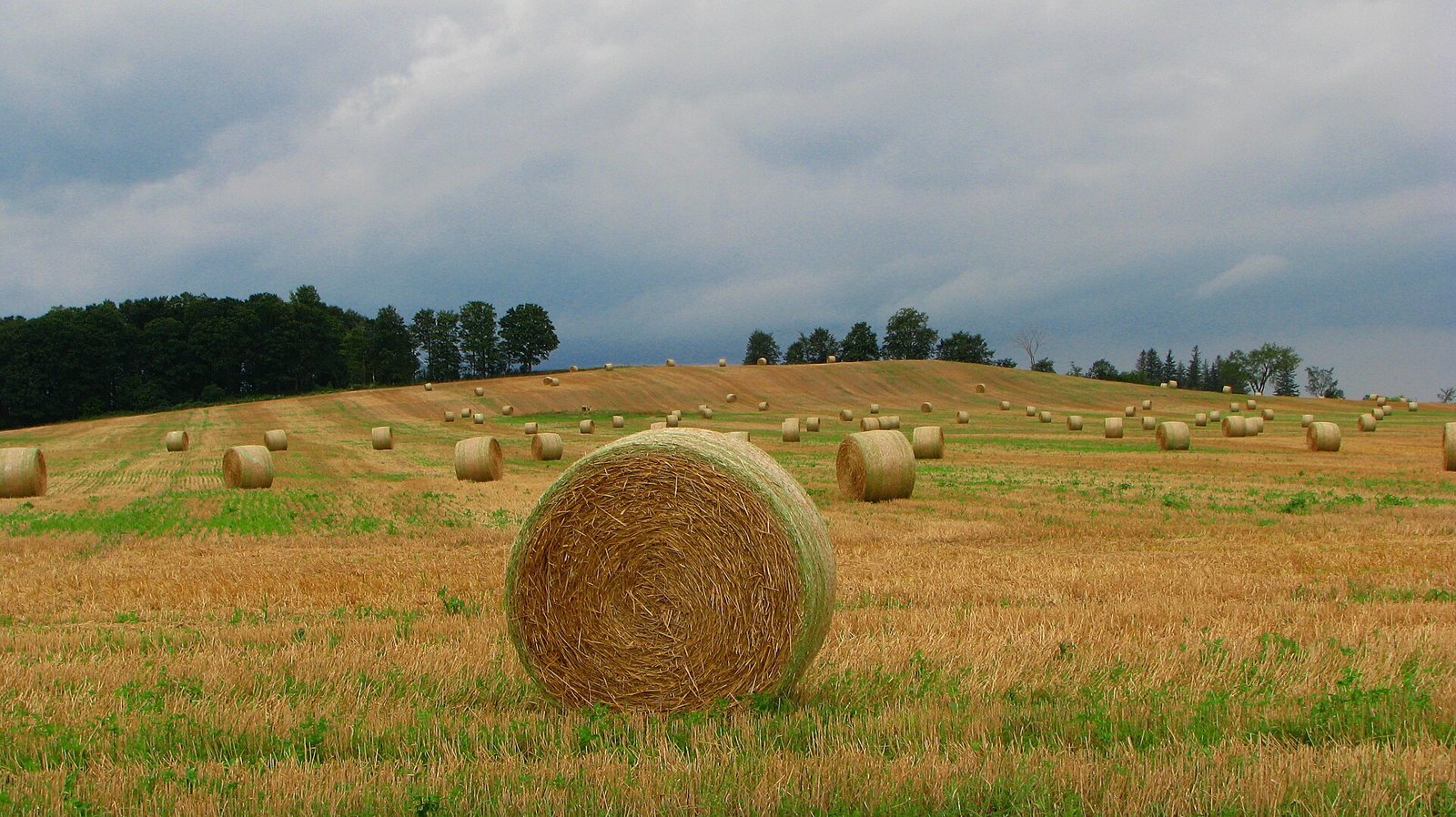 New Tecumseth, Ontario